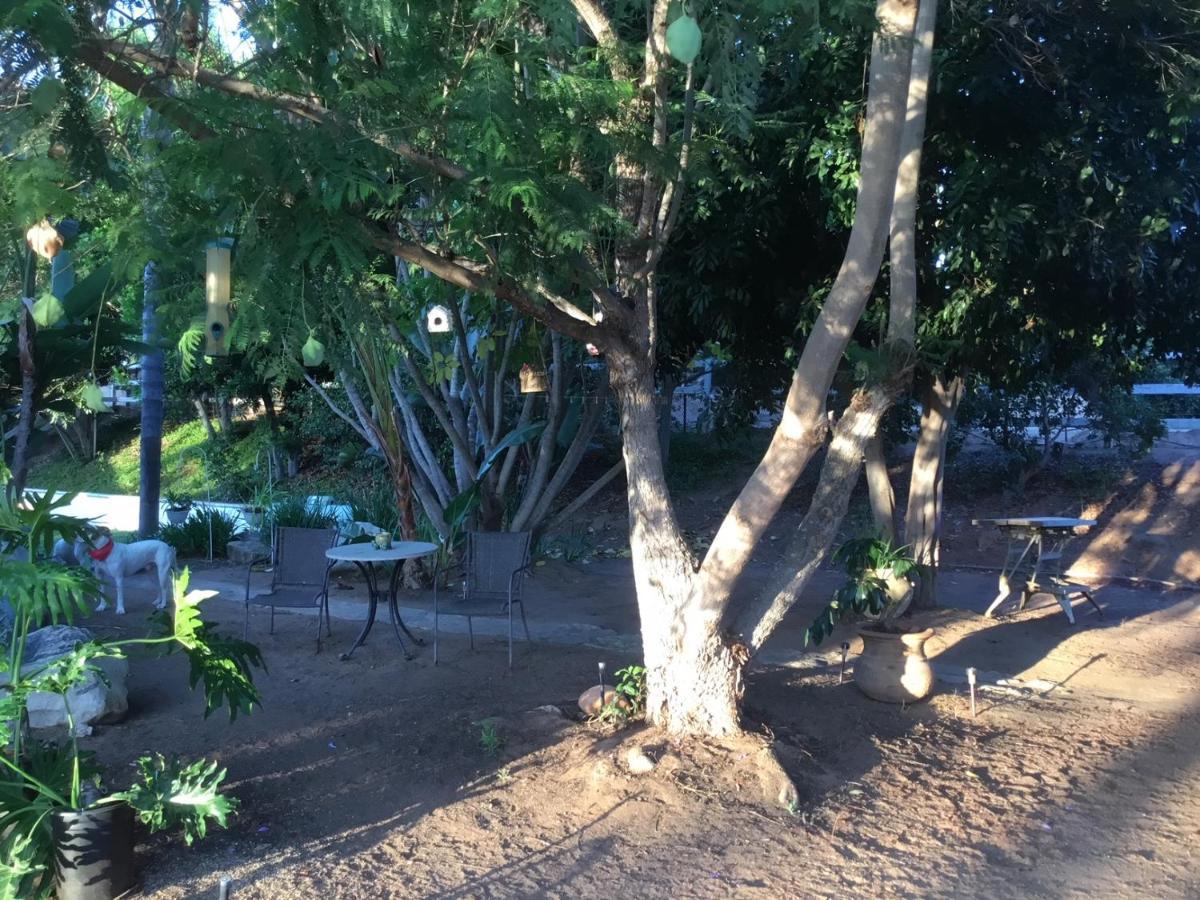 Beautiful New Detached Casita Nestled In Scenic Southern Ca Foothills! Fallbrook Exterior foto
